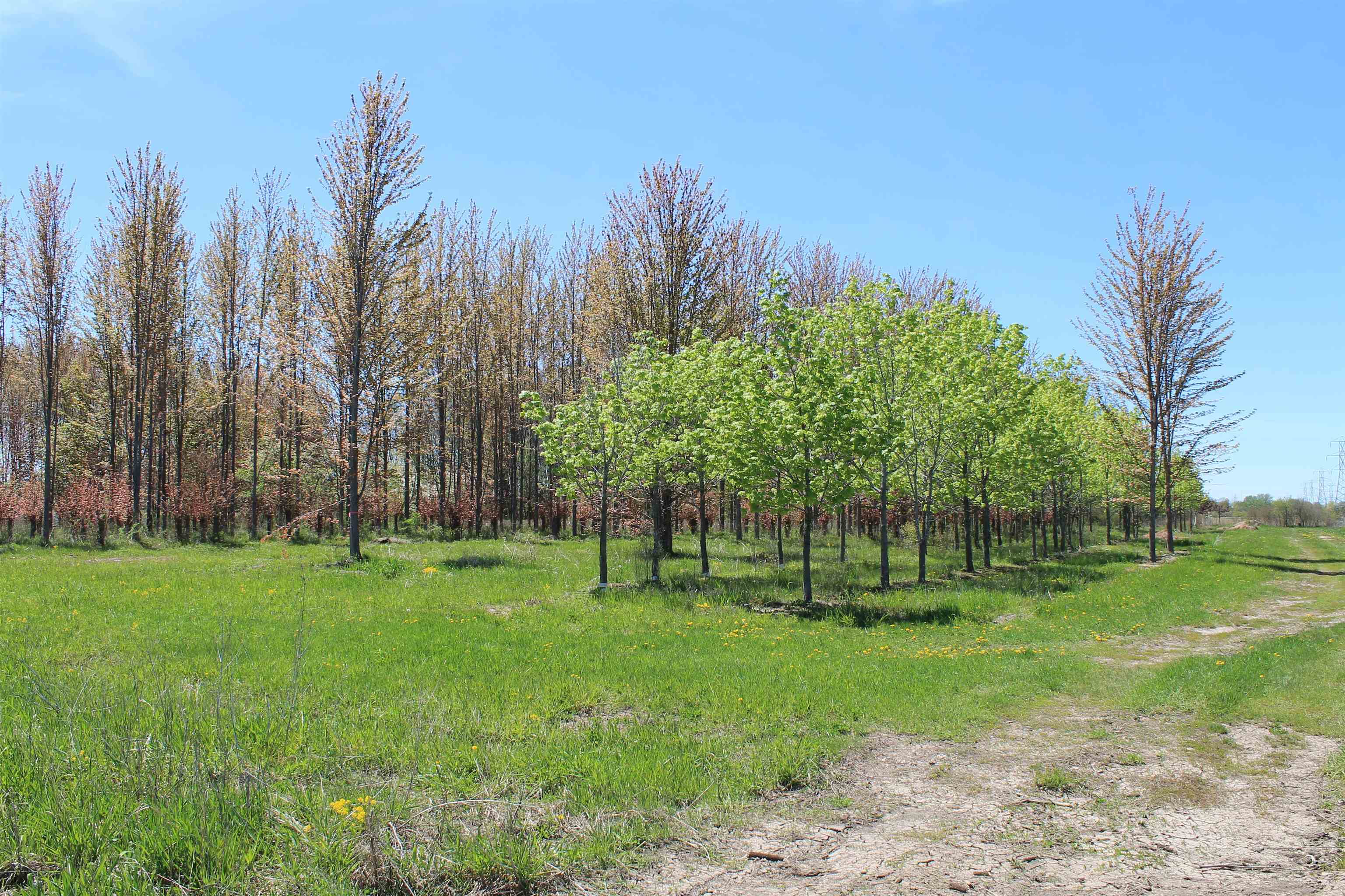 State Park Road Appleton, WI 54915 - Photo 24 of 30