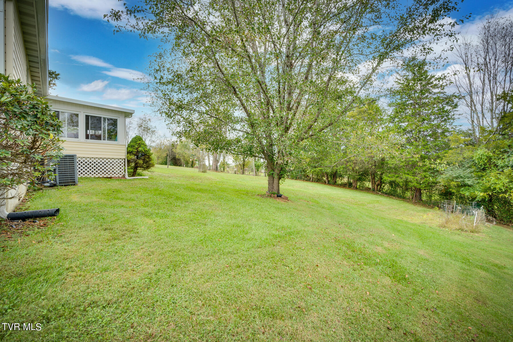 464 Mountain View Road Bluff City, TN 37618 - Photo 35 of 41 035 (15)