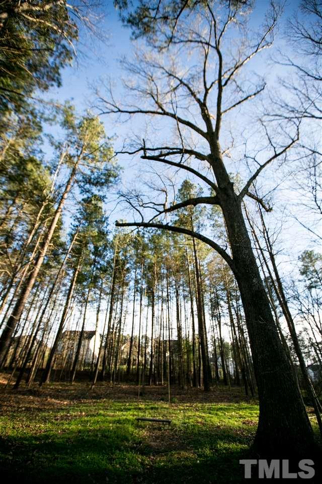 8009 Massey Chapel Road Durham, NC 27713 - Photo 20 of 20 Gallery Image 20