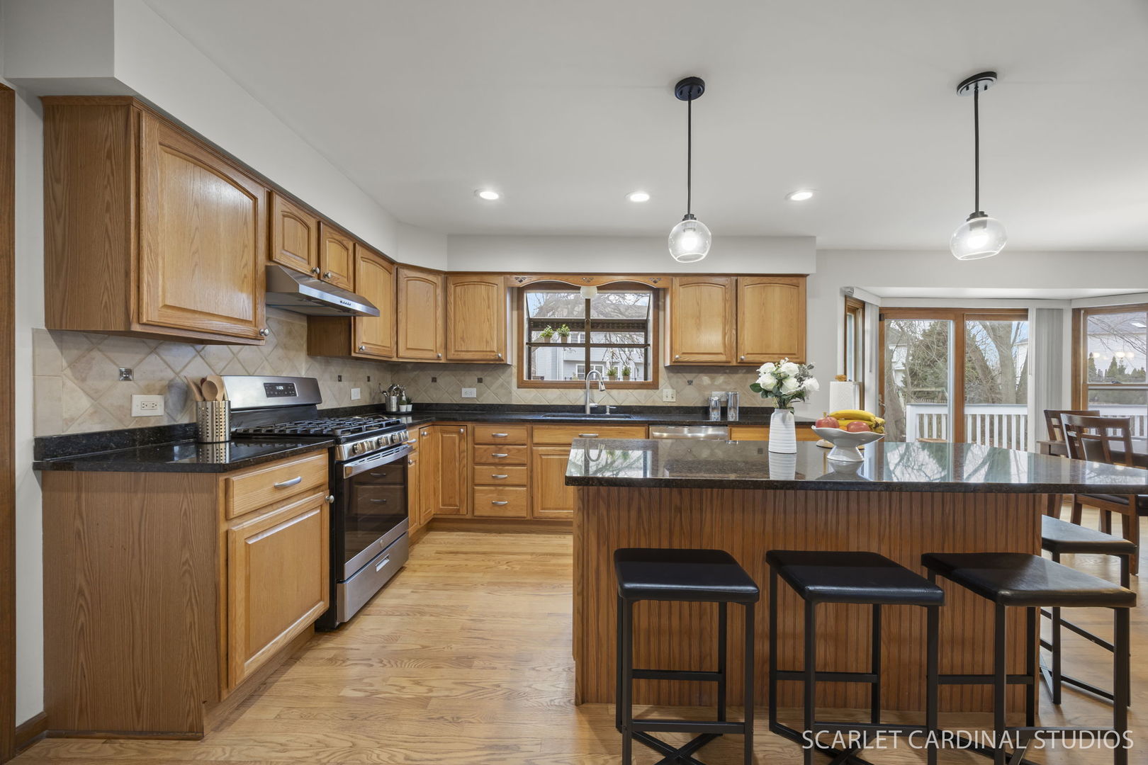 1028 Whitewater Lane Naperville, IL 60540 - Photo 3 of 30