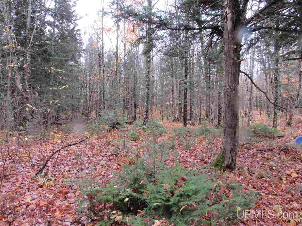 River-connors Corner Road Iron River, MI 49935 - Photo 49 of 49