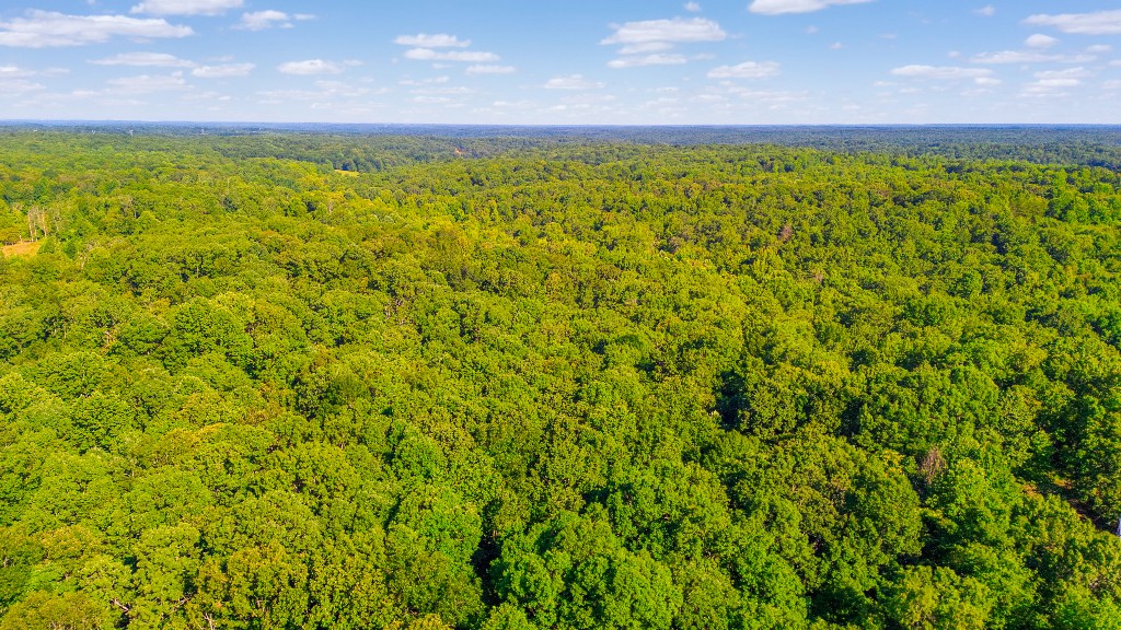 2701 Gray Branch Road McEwen, TN 37101 - Photo 5 of 15 Gallery Image 5