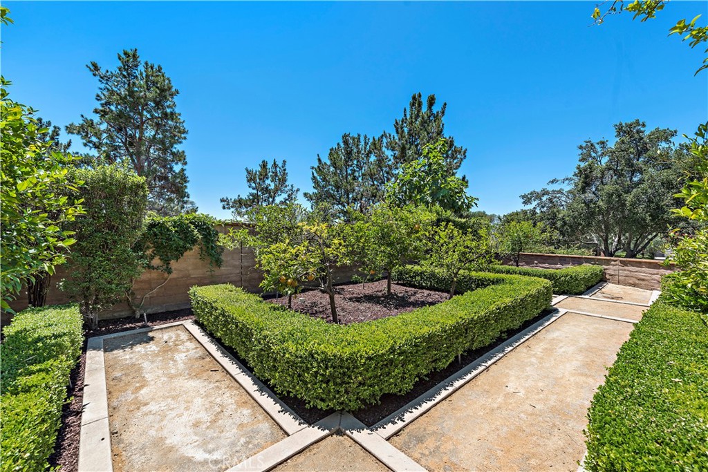 2 Anna Lane Ladera Ranch, CA 92694 - Photo 47 of 63 a view of a garden with a fountain