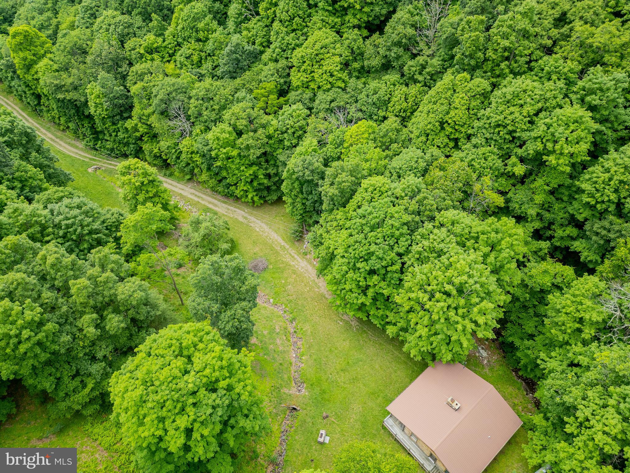 1862 Hawbush Road Circleville, WV 26804 - Photo 25 of 83