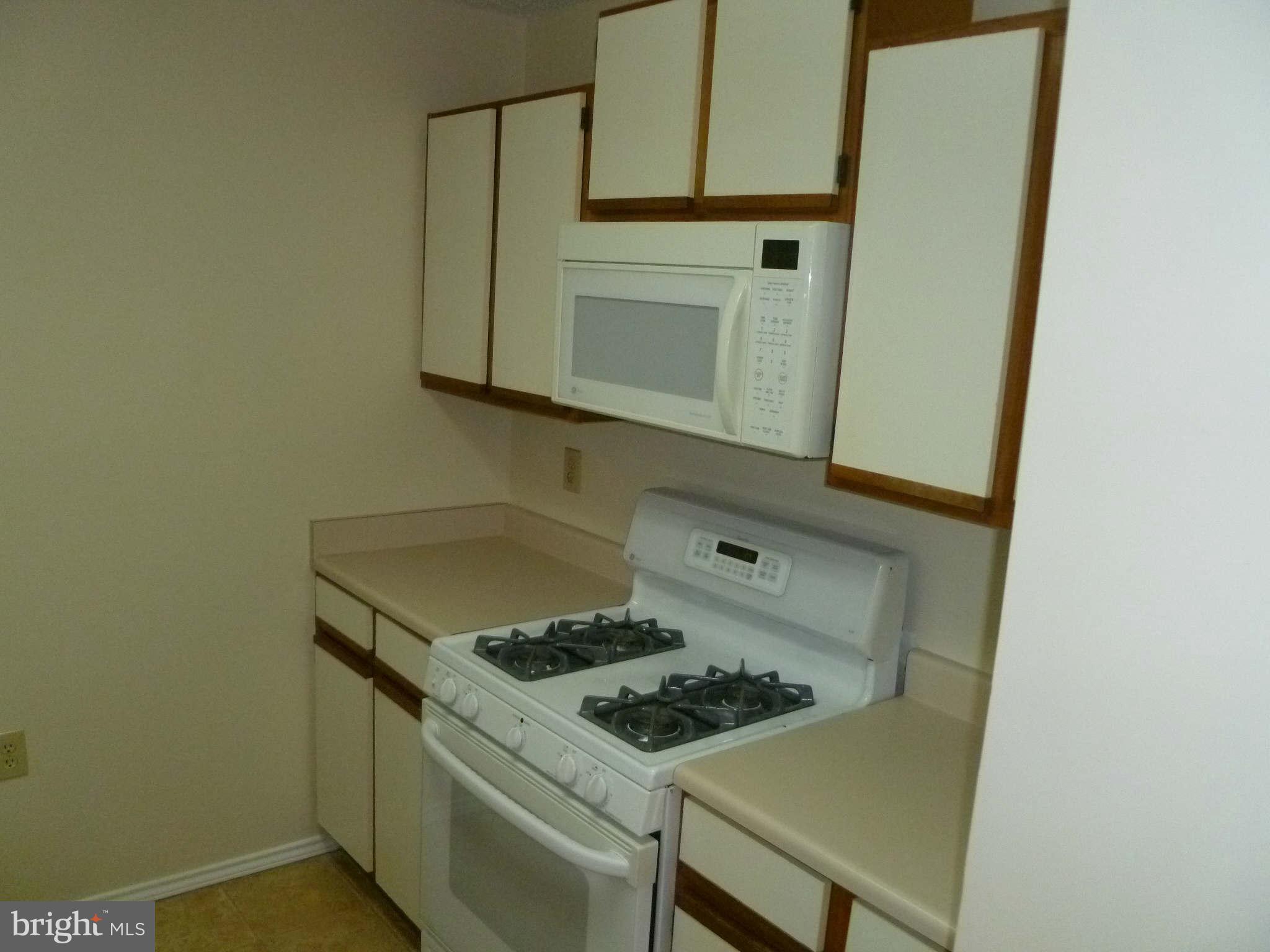 21029 Timber Ridge Terrace, Unit 103 Ashburn, VA 20147 - Photo 3 of 8 Kitchen