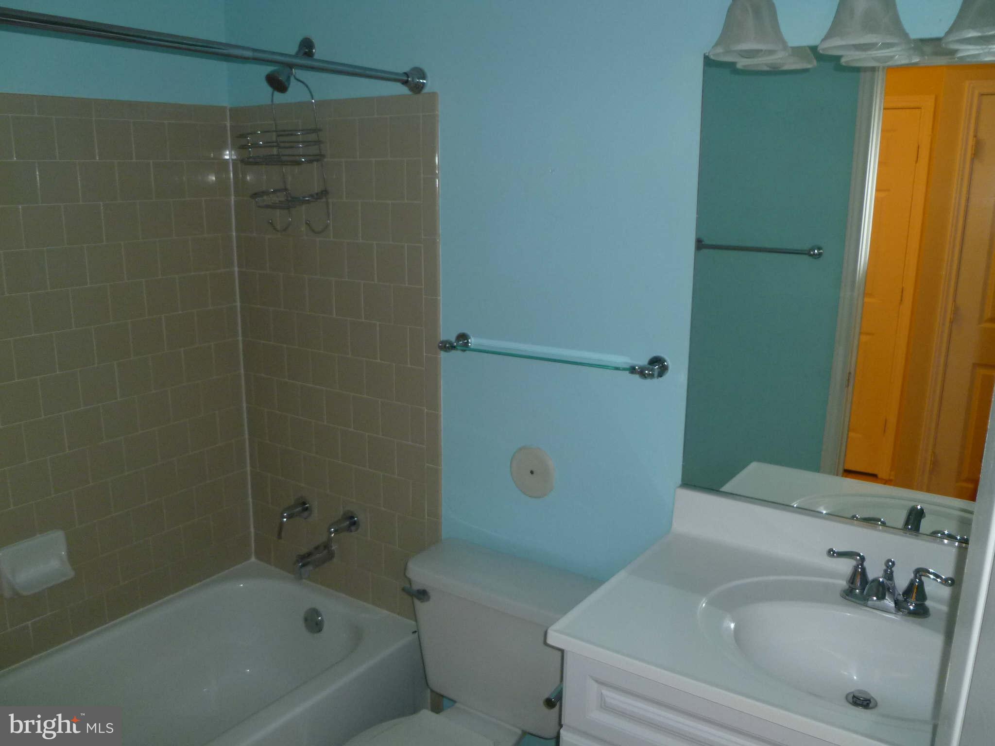 21029 Timber Ridge Terrace, Unit 103 Ashburn, VA 20147 - Photo 7 of 8 Bath