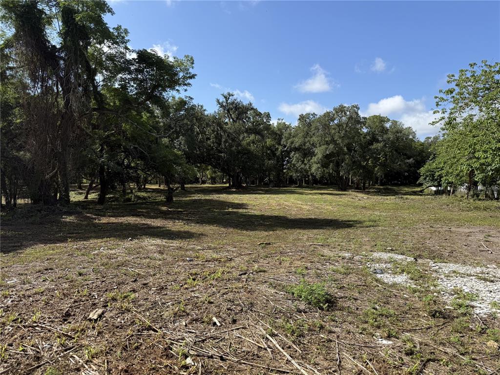 521 East Clay Avenue Brandon, FL 33510 - Photo 9 of 12 a view of a yard