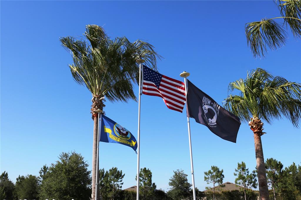 6203 Southwest 93rd Loop Ocala, FL 34476 - Photo 53 of 54 a view of a palm plant that is in front of a building