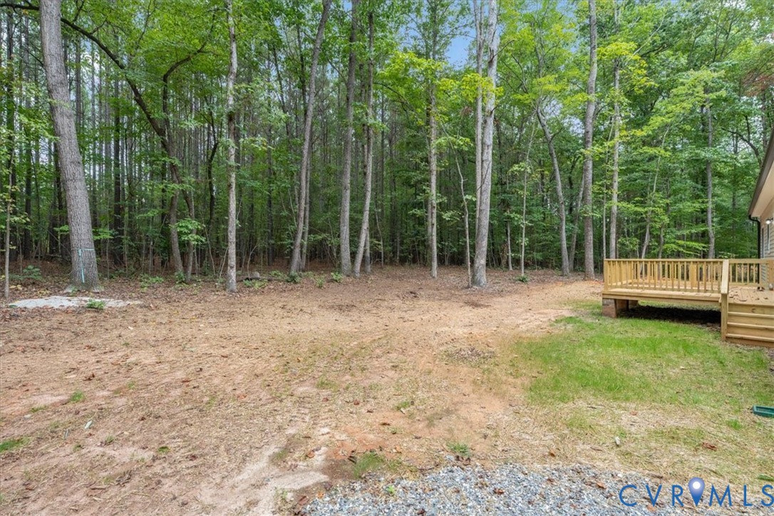 21 Holman Mill Road Farmville, VA 23901 - Photo 43 of 50 Gallery Image 43