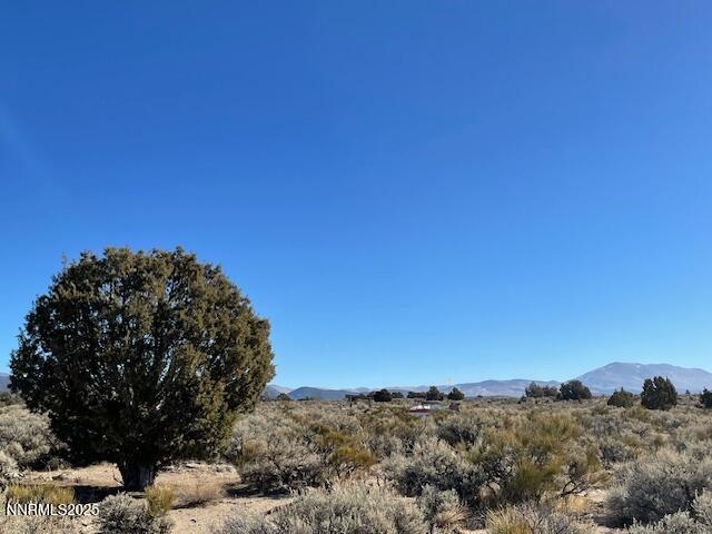 0 Sunrise Pass Road, Unit 0SUNRISE PASS RD Minden, NV 89423 - Photo 6 of 10 IMG_4058