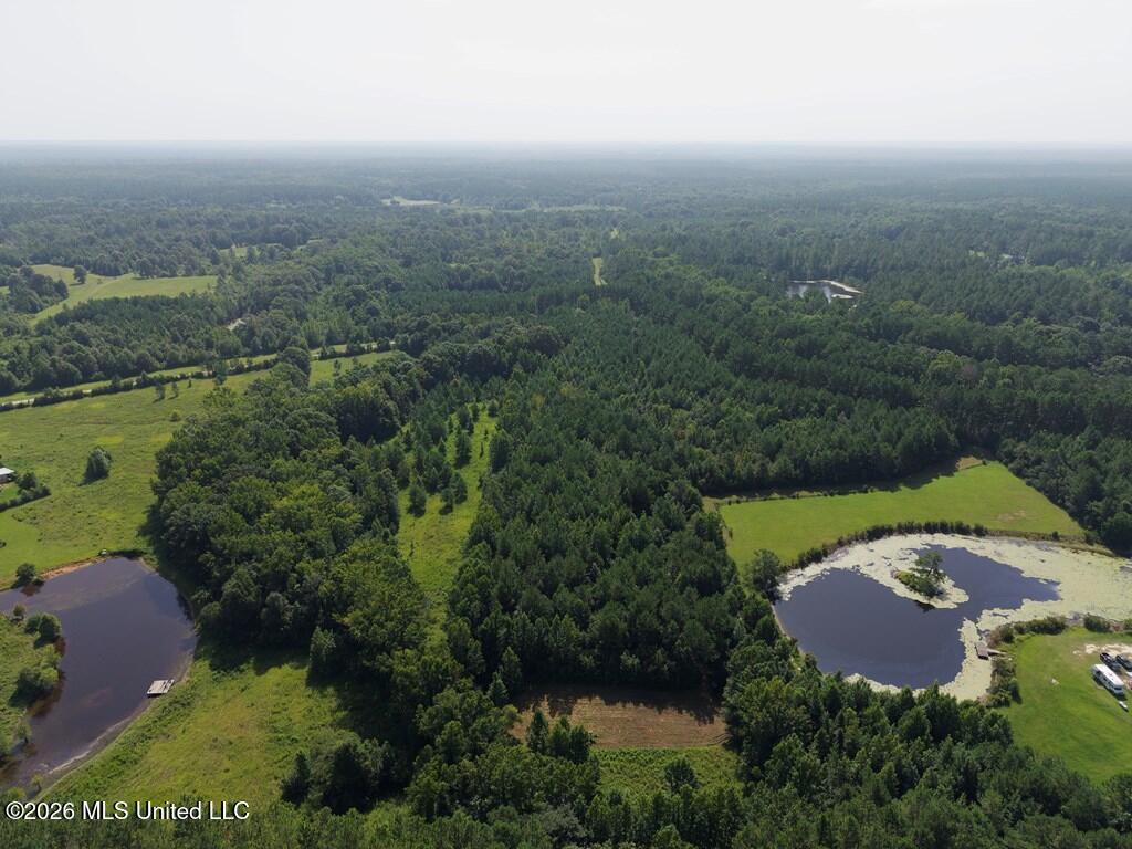 Remington Road Poplarville, MS 39470 - Photo 6 of 13 IMG_1616