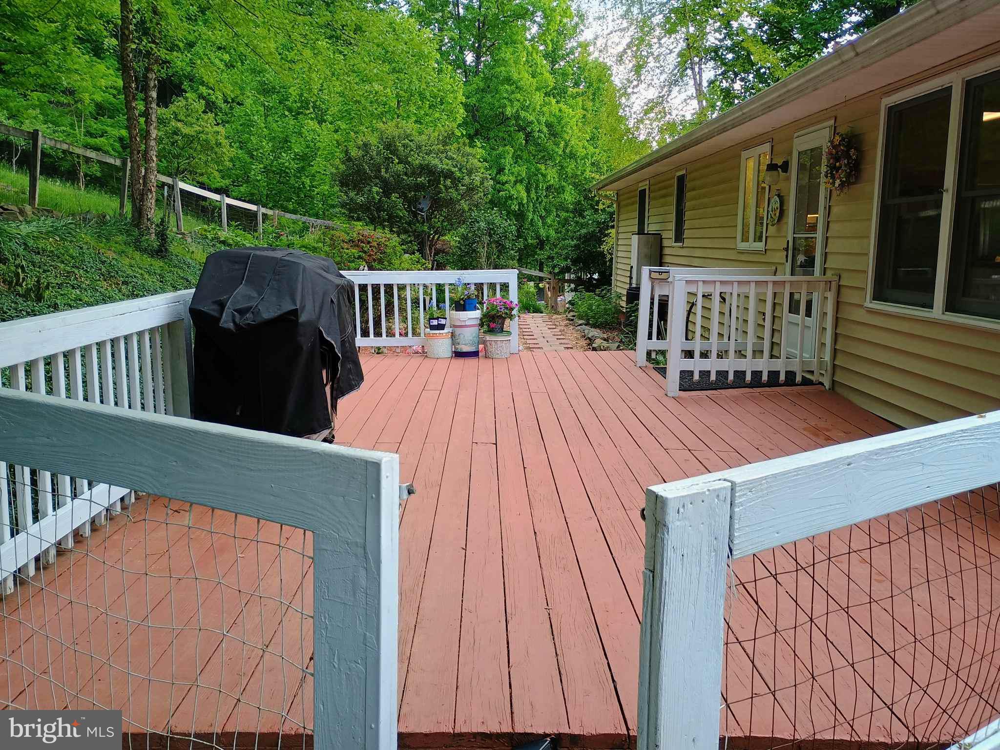 147 Blue Ridge Avenue Chester Gap, VA 22623 - Photo 3 of 46