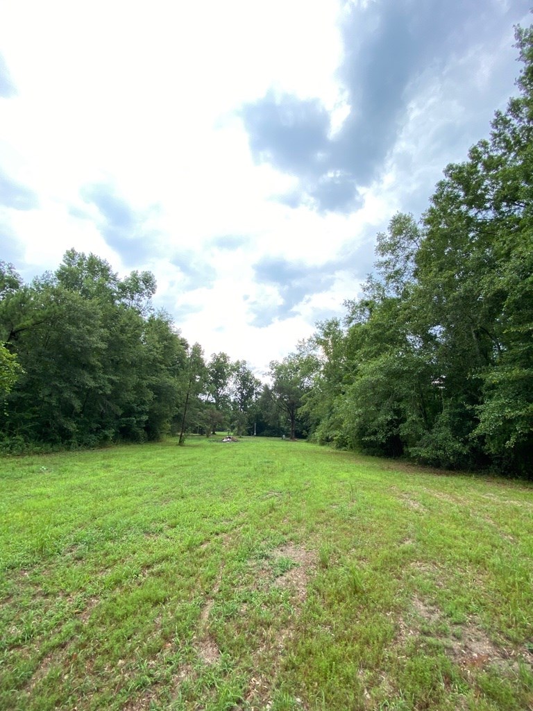 2242 Coot Adams Road Ashford, AL 36312 - Photo 17 of 39