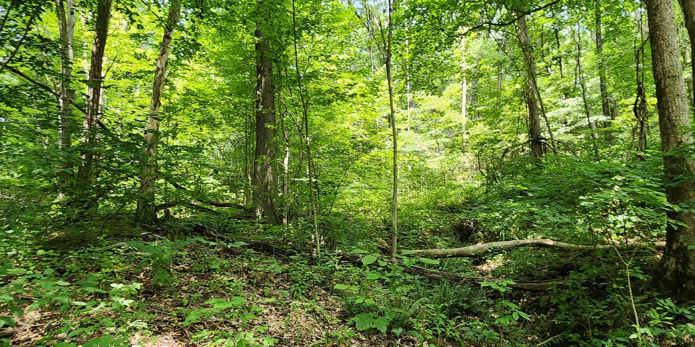 0 Back Run Road, Unit TRACT 1) Philo, OH 43771 - Photo 22 of 53 CT-20