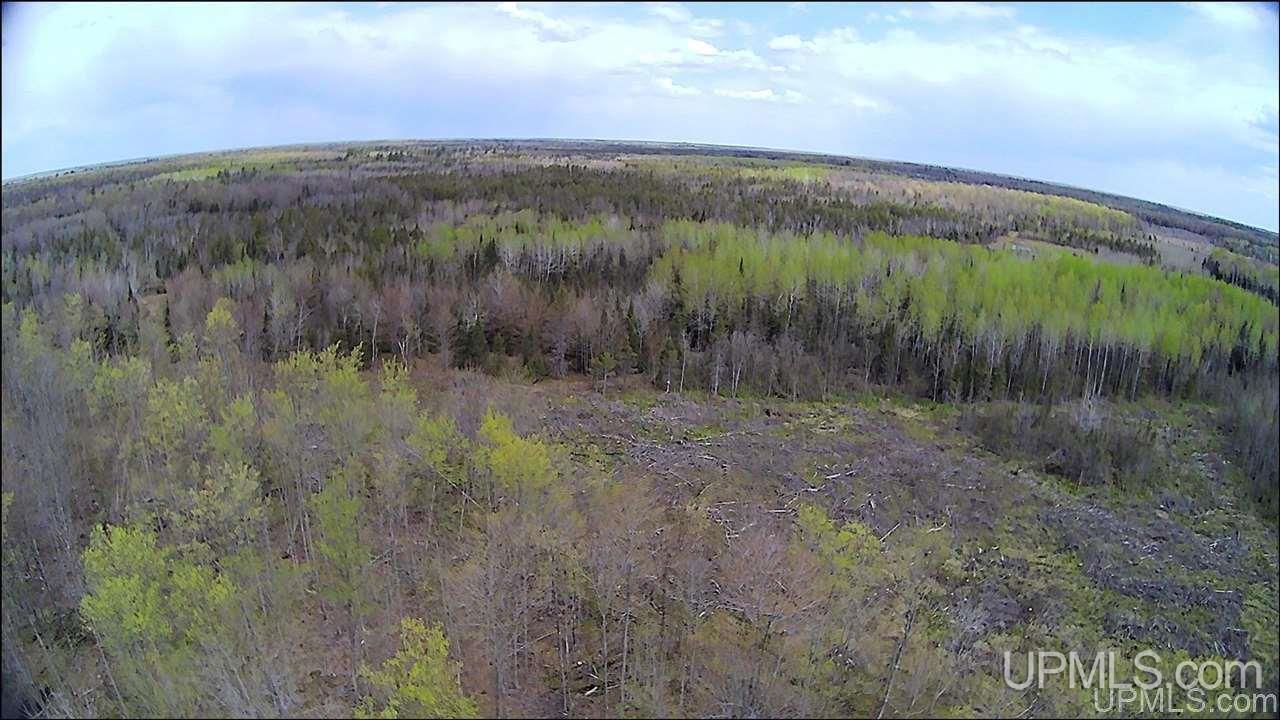 Tbd Tbd Truax Road, Unit 1 Cornell, MI 49818 - Photo 16 of 43