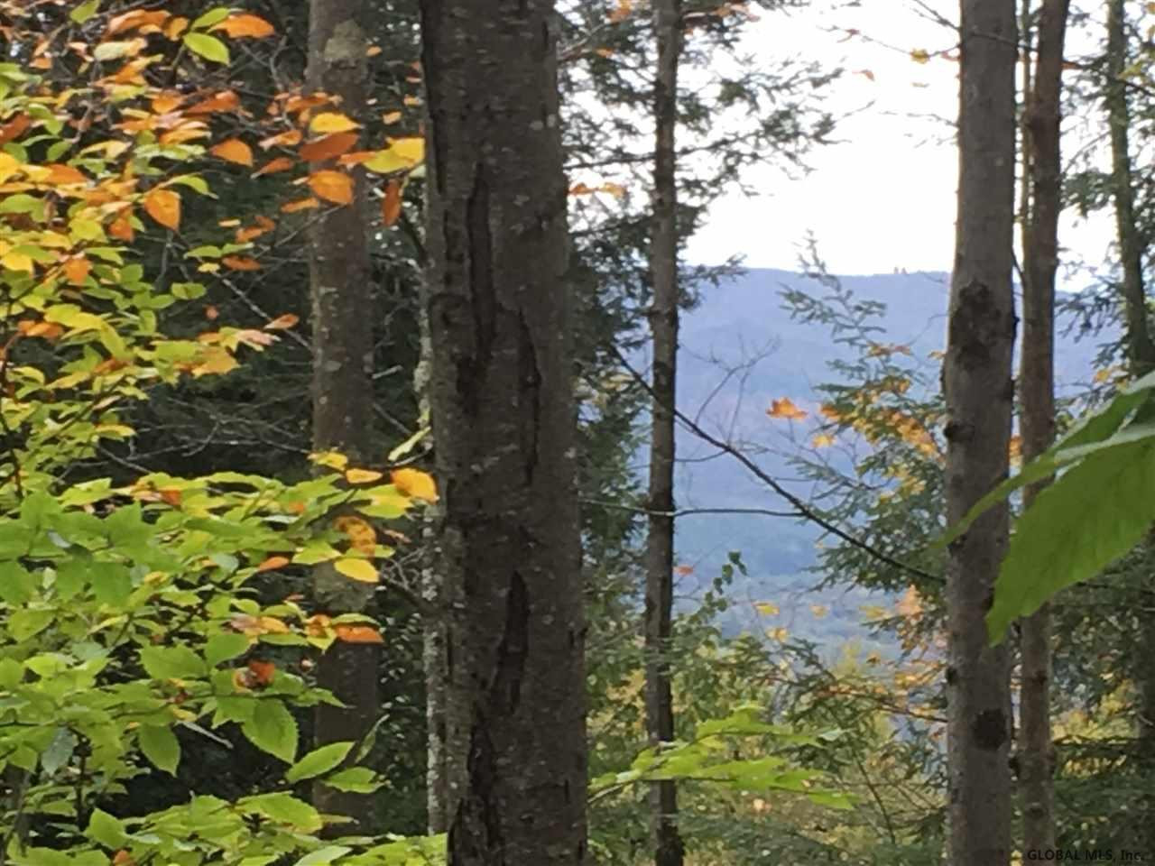0 Toad Point Road Petersburgh, NY 12138 - Photo 9 of 20 Photo 9