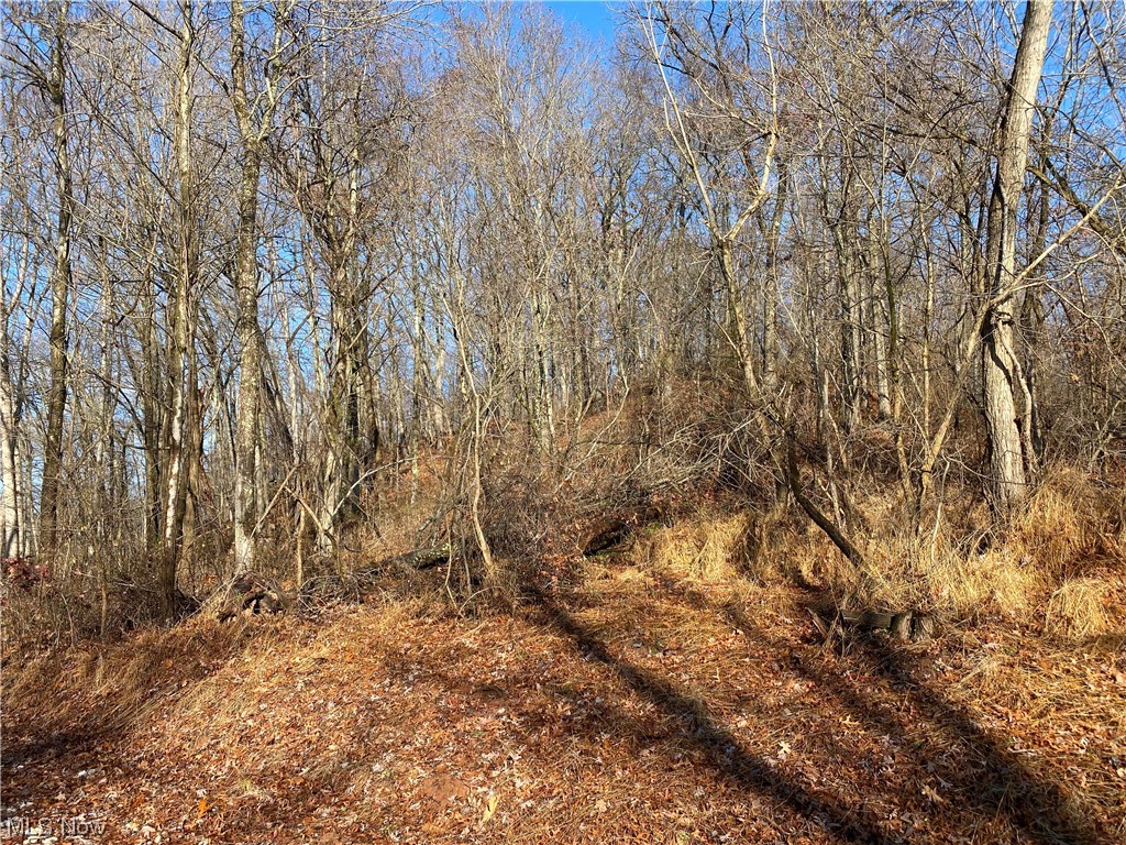 0 Shay Ridge Road New Matamoras, OH 45767 - Photo 23 of 29 View of nature
