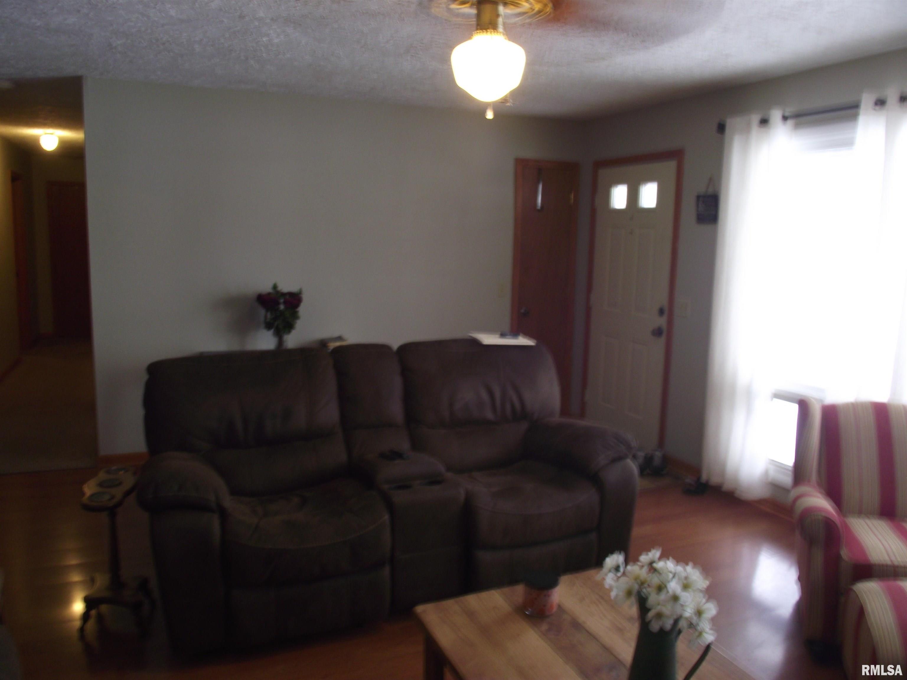 7836 Idyle Wild Road Du Quoin, IL 62832 - Photo 4 of 23
