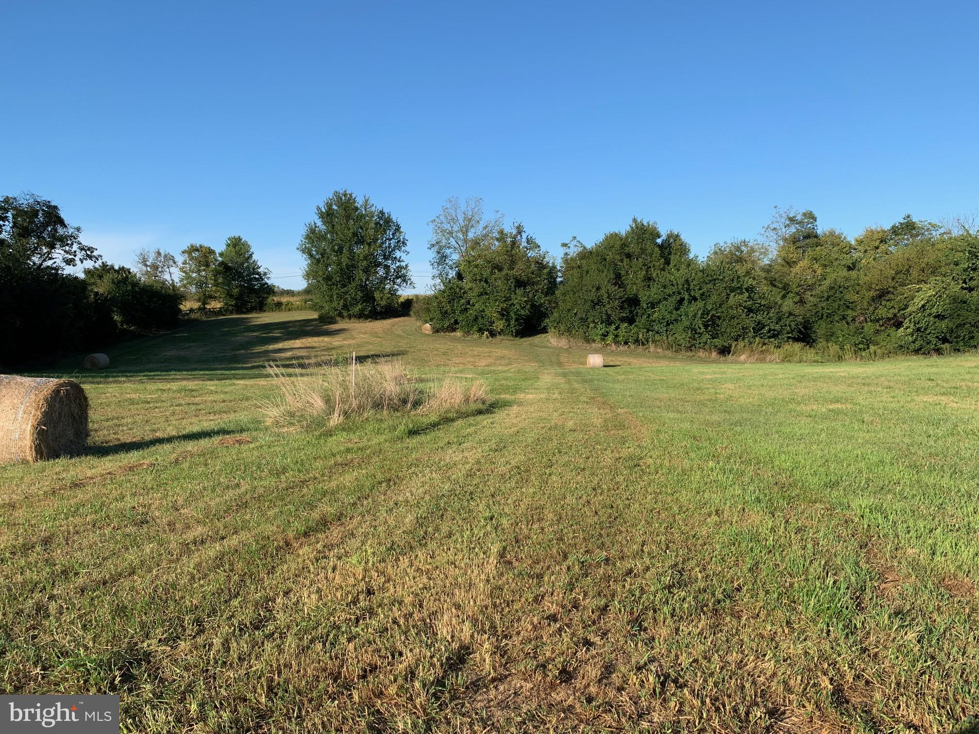 Lot #1 Engle Molers Road Shepherdstown, WV 25443 - Photo 1 of 15