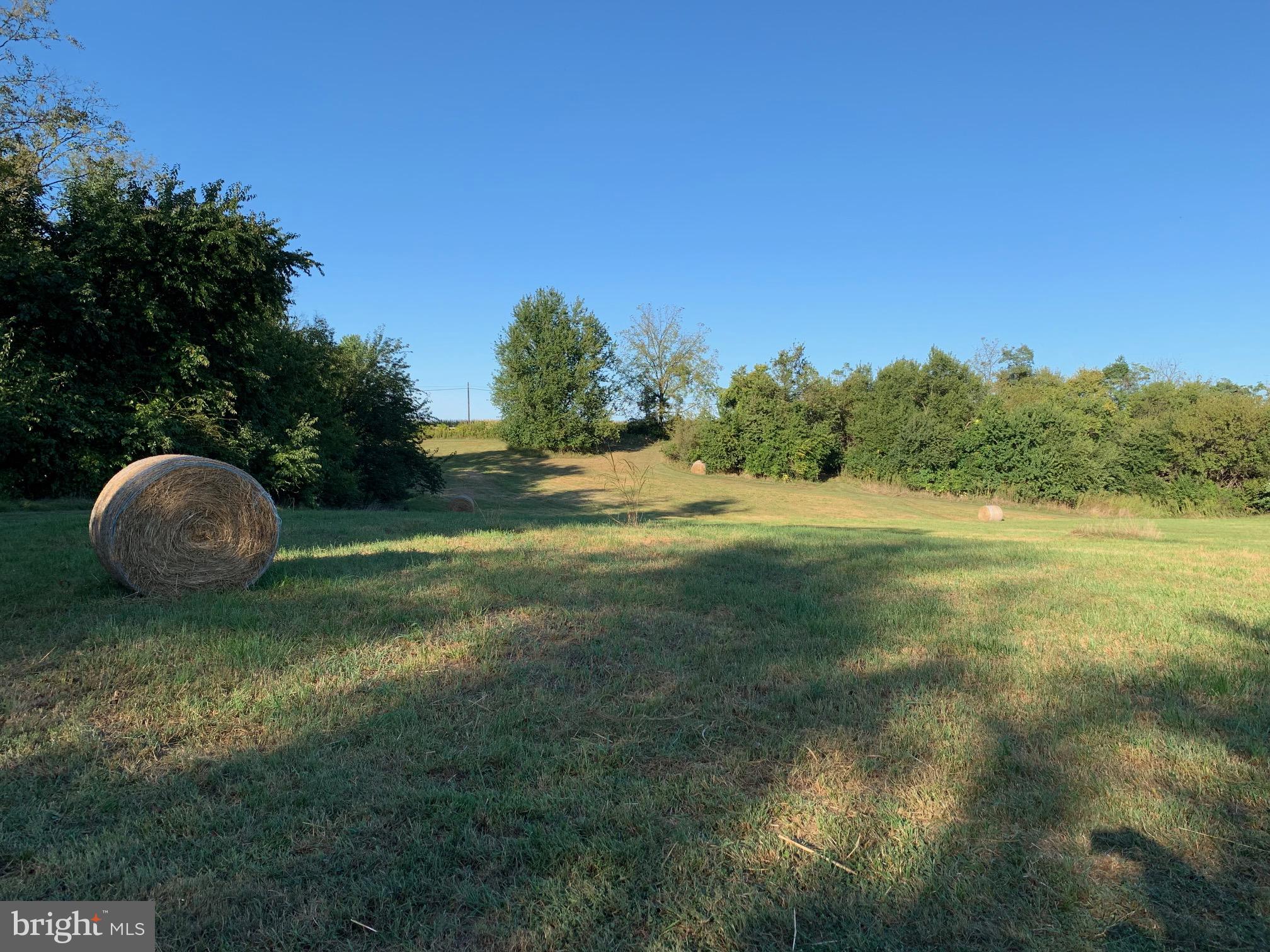 Lot #1 Engle Molers Road Shepherdstown, WV 25443 - Photo 2 of 15