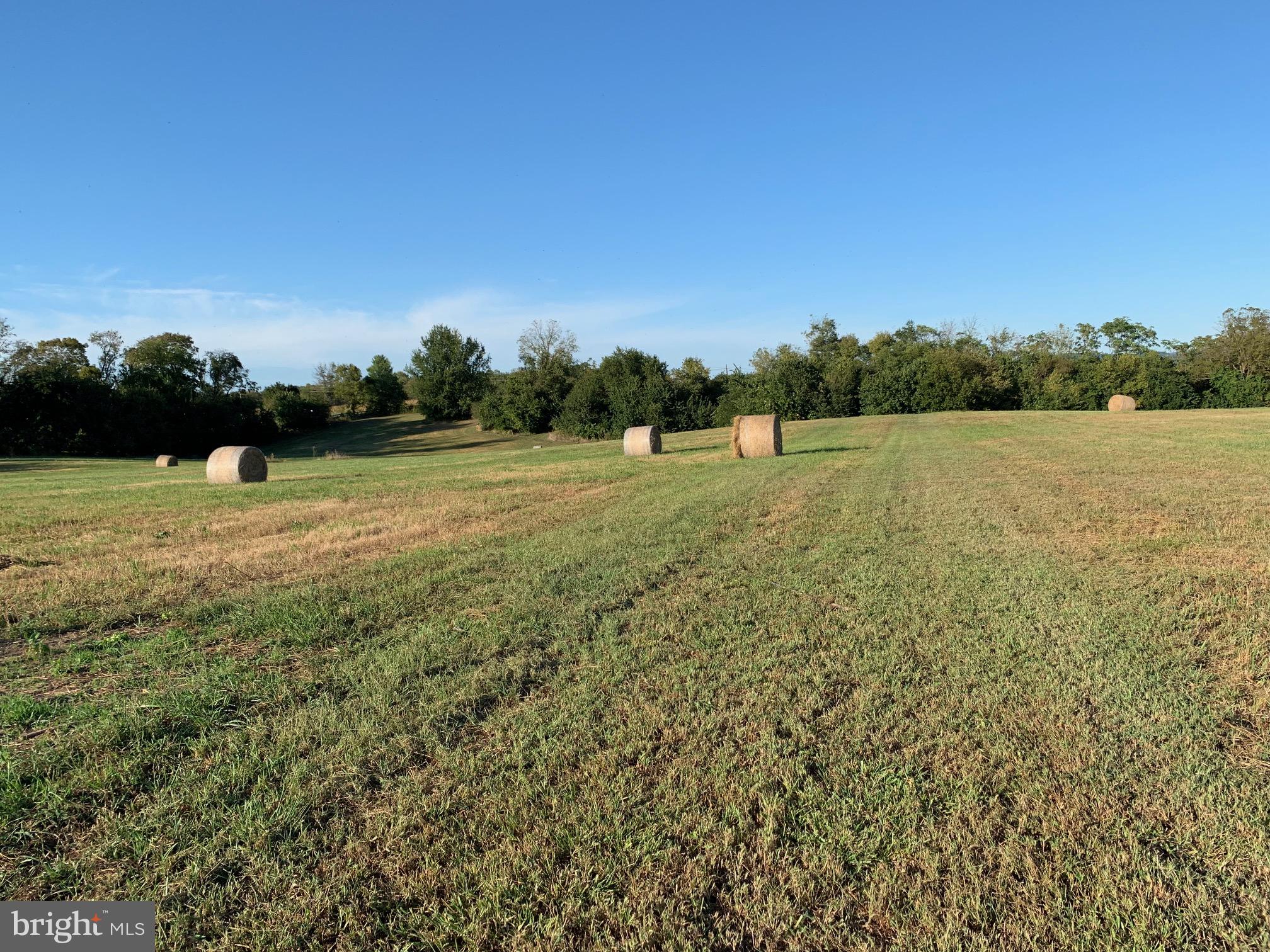 Lot #1 Engle Molers Road Shepherdstown, WV 25443 - Photo 3 of 15