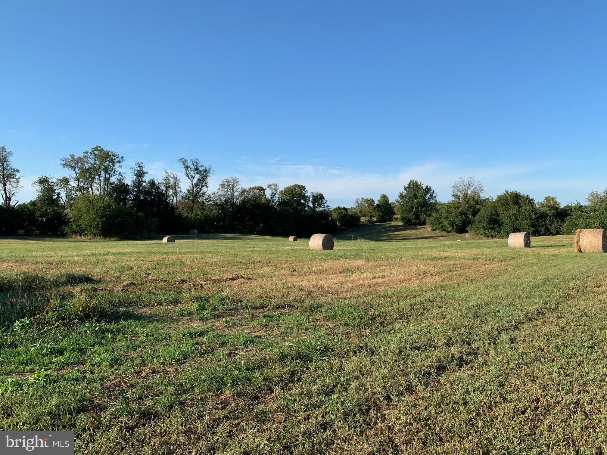 Lot #1 Engle Molers Road Shepherdstown, WV 25443 - Photo 4 of 15