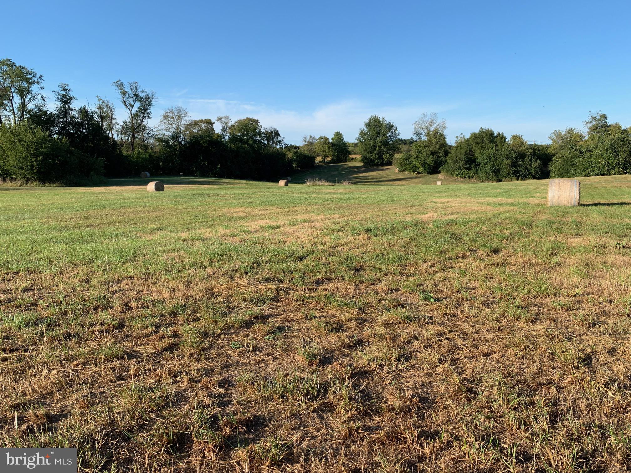 Lot #1 Engle Molers Road Shepherdstown, WV 25443 - Photo 7 of 15