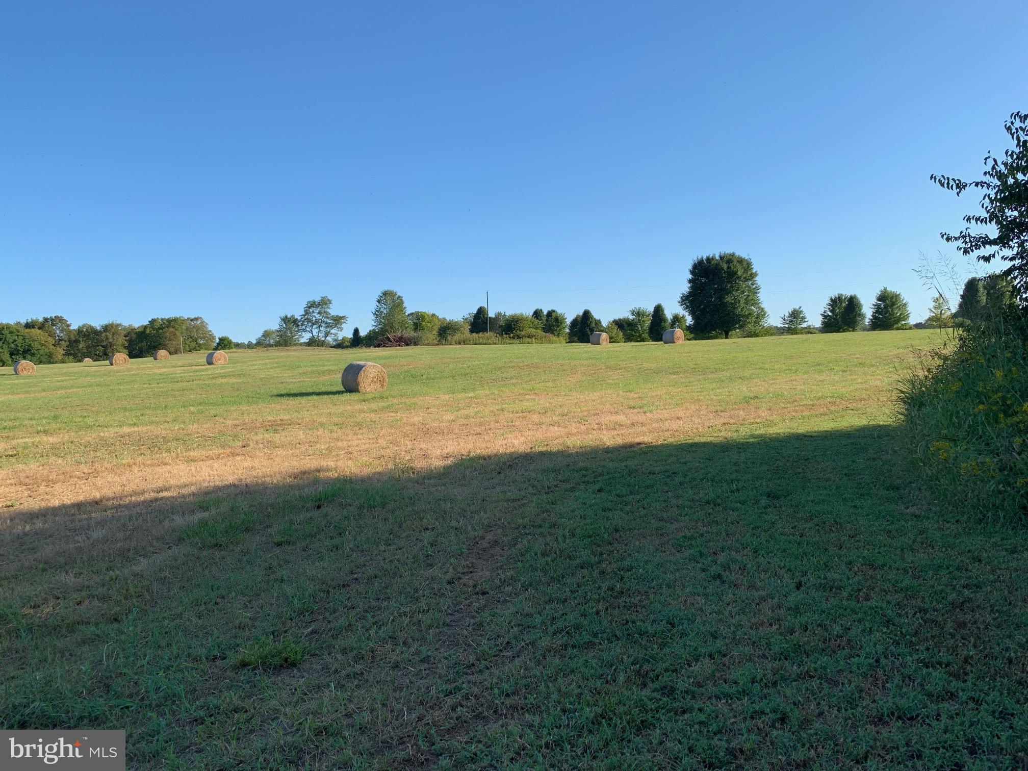 Lot #1 Engle Molers Road Shepherdstown, WV 25443 - Photo 8 of 15