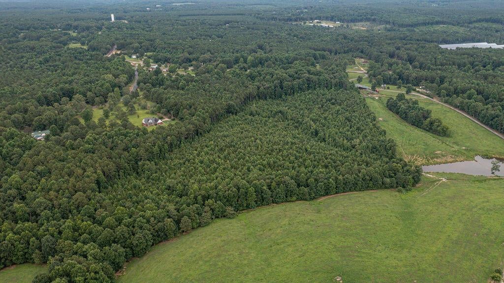 Fall City Road Jasper, AL 35503 - Photo 8 of 19 Gallery Image 8