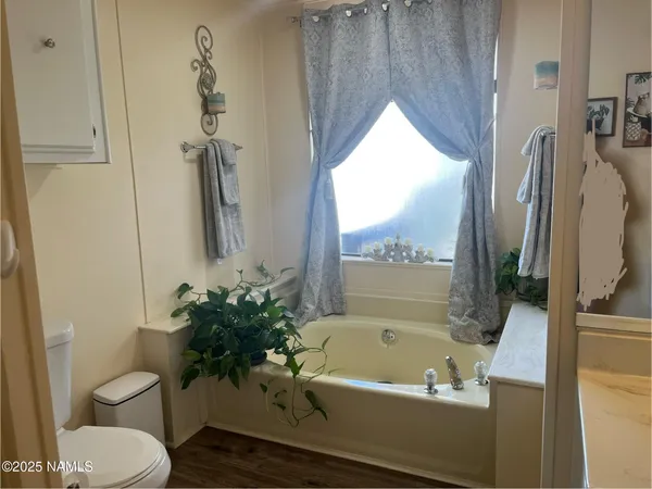 a bathroom with a toilet a bath tub and a potted plant