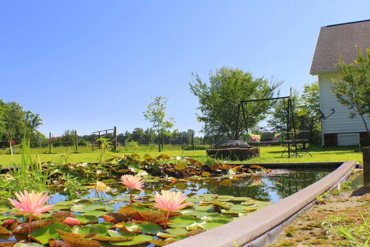5959 Old Beulah Road Kenly, NC 27542 - Photo 16 of 21 This beutiful Koi Pond is just one of the beautiful features of your 4 acre private country estate! Koi Pond