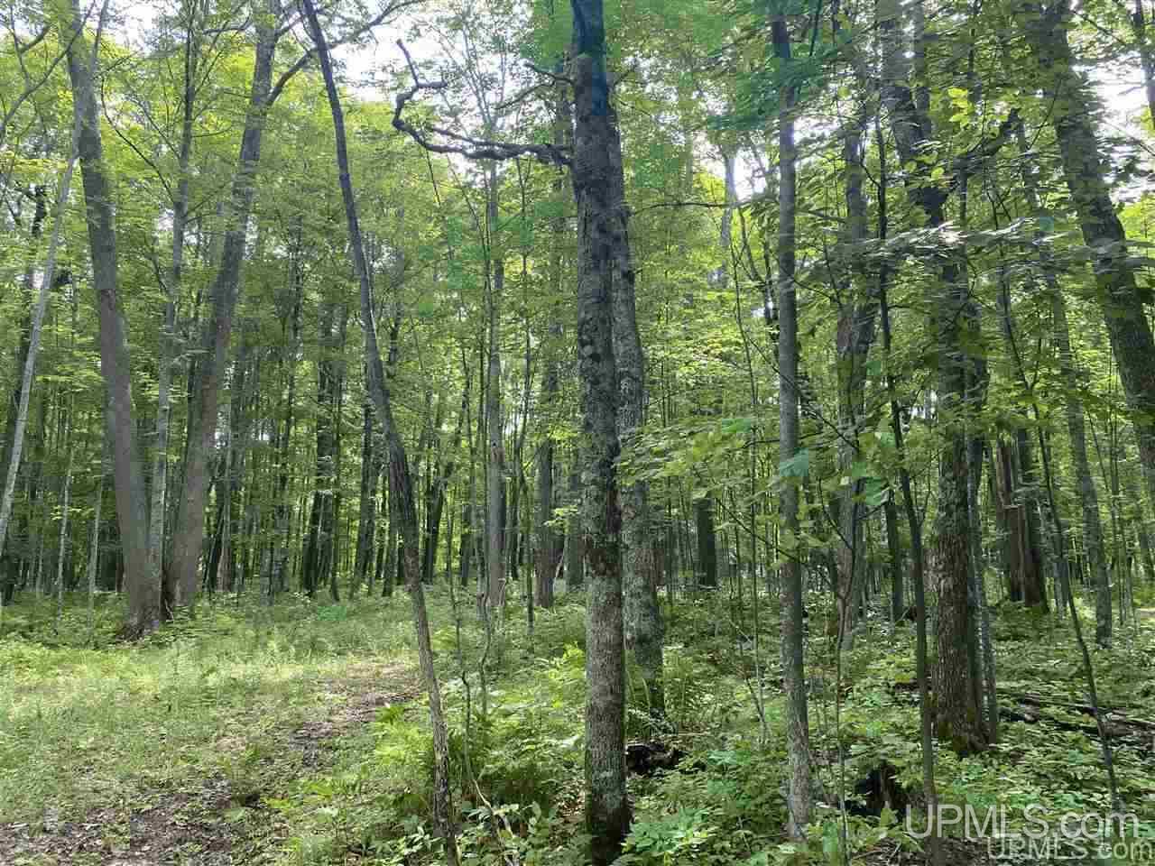 Lot #b Lot Road Marenisco, MI 49947 - Photo 6 of 11