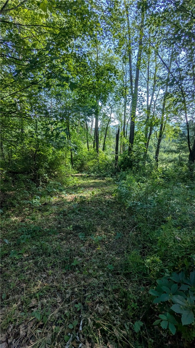 725 State Street Oneonta, NY 13820 - Photo 9 of 25 Path that goes down to Otego creek in 8+ acres of