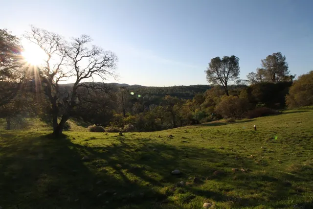 a view of an outdoor space and a yard