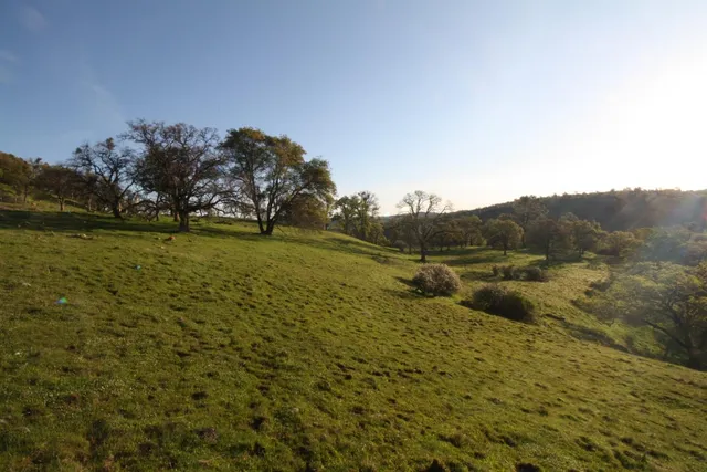 a view of a golf course with a lake