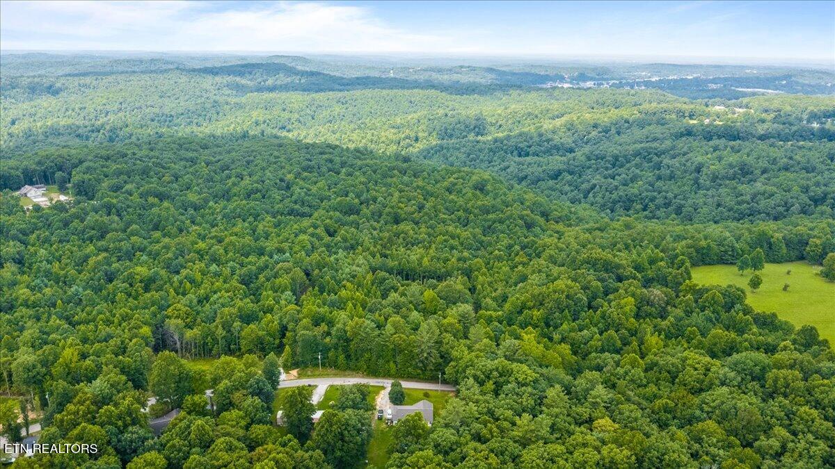 638 Jane Phillips Road Oneida, TN 37841 - Photo 14 of 16 10-Jane Phillips Rd