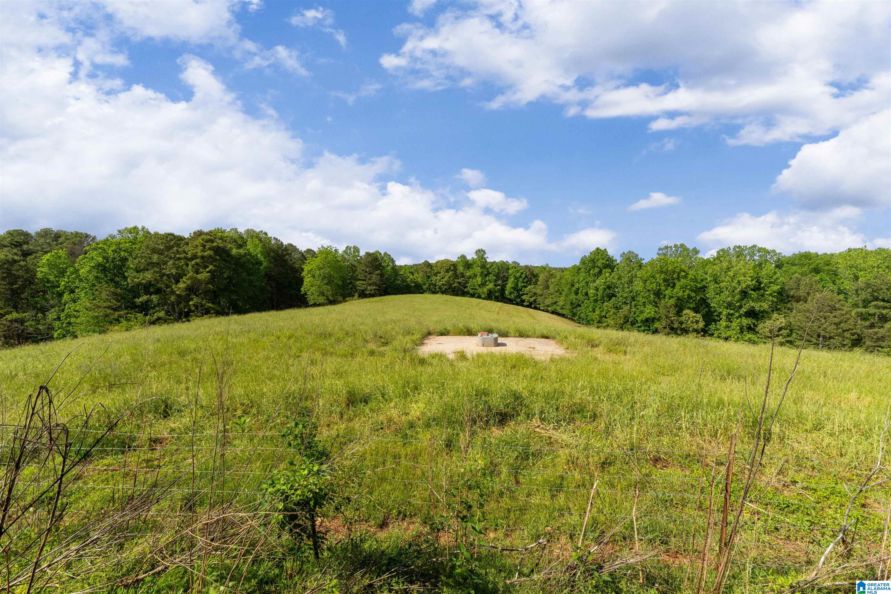 1435 County Road 633 Ranburne, AL 36273 - Photo 70 of 96