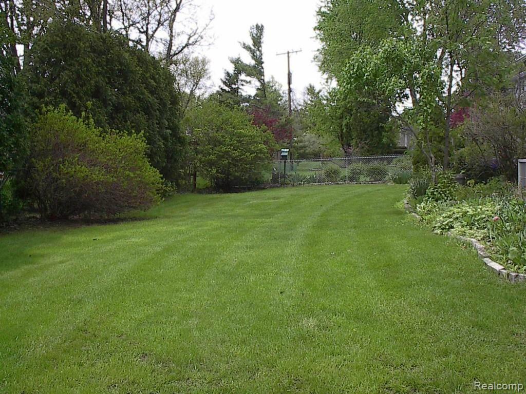 36221 Curtis Road Livonia, MI 48152 - Photo 4 of 4 IM003257.jpg
