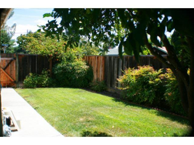 1203 Hazel Avenue Campbell, CA 95008 - Photo 8 of 9 a view of a backyard with plants