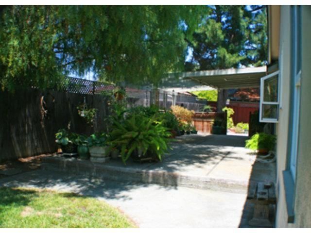 1203 Hazel Avenue Campbell, CA 95008 - Photo 9 of 9 a view of yard along with road and trees