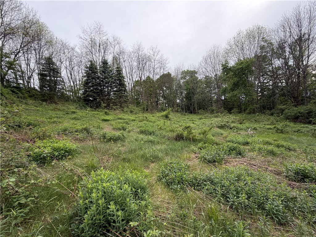 473 County Highway Oneonta, NY 13820 - Photo 41 of 45 Vacant lot across the street