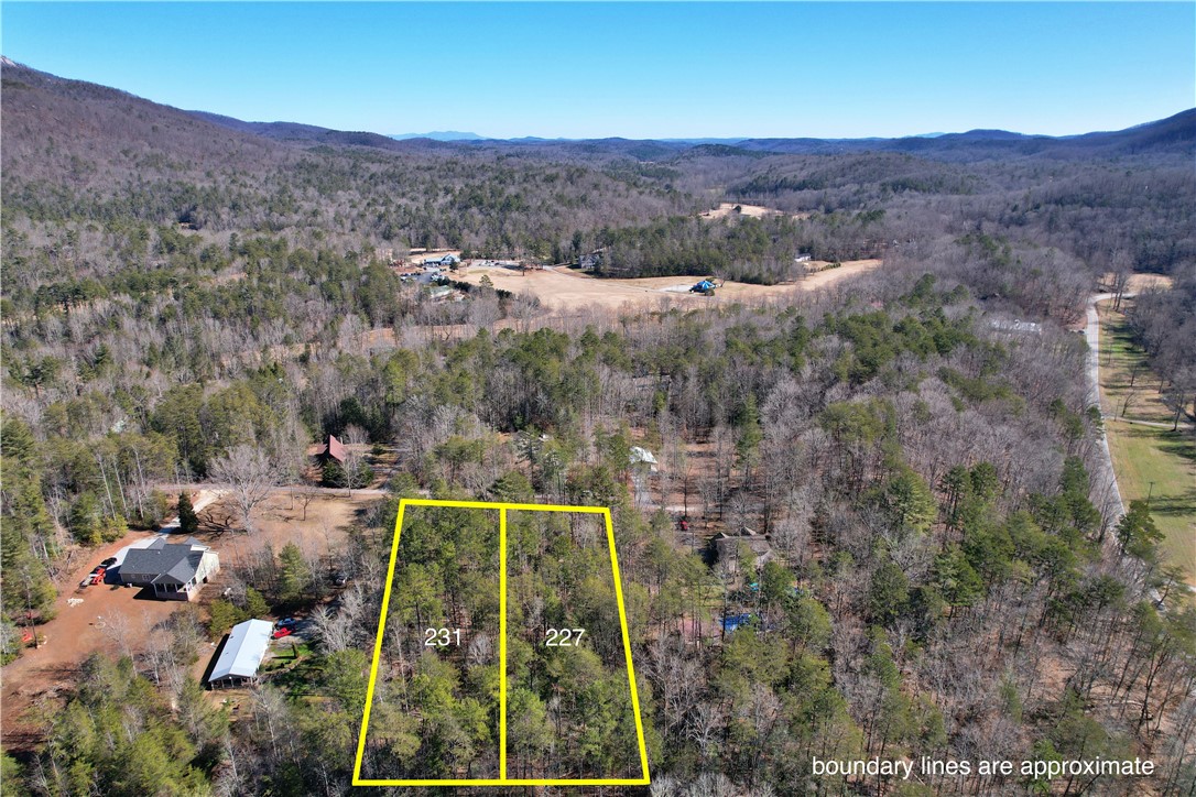 231-227 Gauley Falls Road Pickens, SC 29671 - Photo 3 of 11 Gallery Image 3