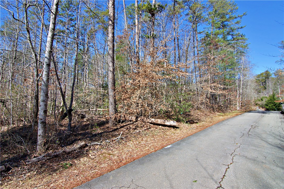 231-227 Gauley Falls Road Pickens, SC 29671 - Photo 8 of 11 Gallery Image 8