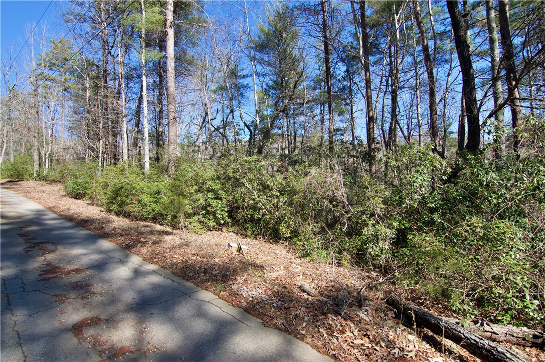 231-227 Gauley Falls Road Pickens, SC 29671 - Photo 9 of 11 Gallery Image 9