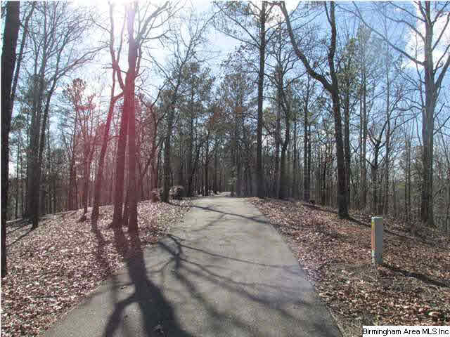 596 Signal Valley Trail Chelsea, AL 35043 - Photo 28 of 30