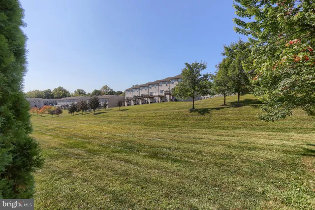 a view of a house with a swimming pool and a large tree