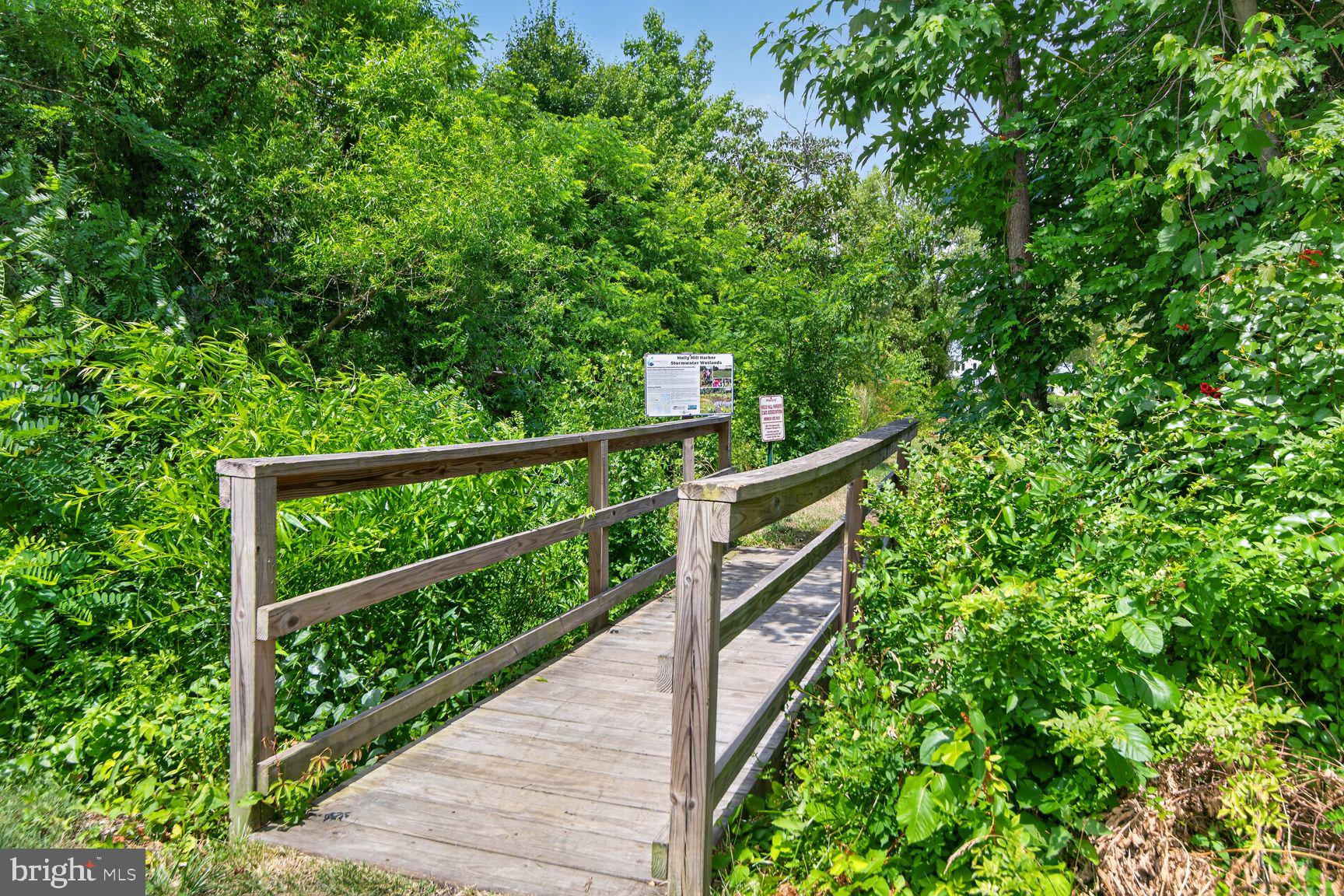 303 Holly Road Edgewater, MD 21037 - Photo 24 of 26