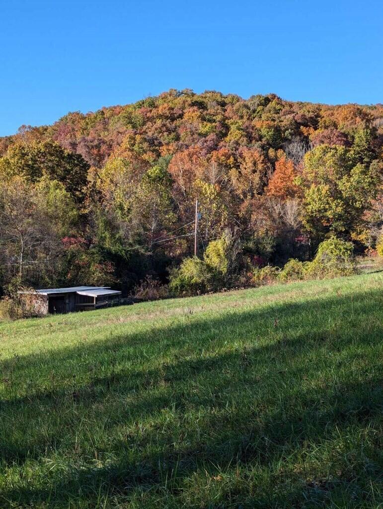 374 Sugar Run Road Piketon, OH 45661 - Photo 22 of 24 22