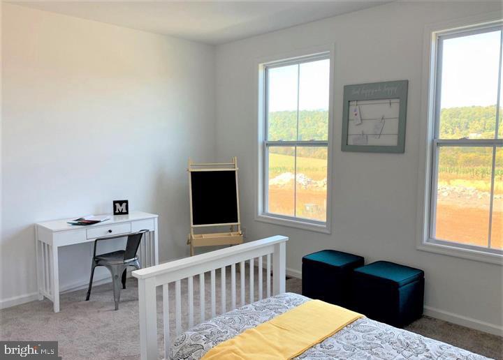12 Glenaire Road Bunker Hill, WV 25413 - Photo 29 of 31 a bedroom with a bed and a window