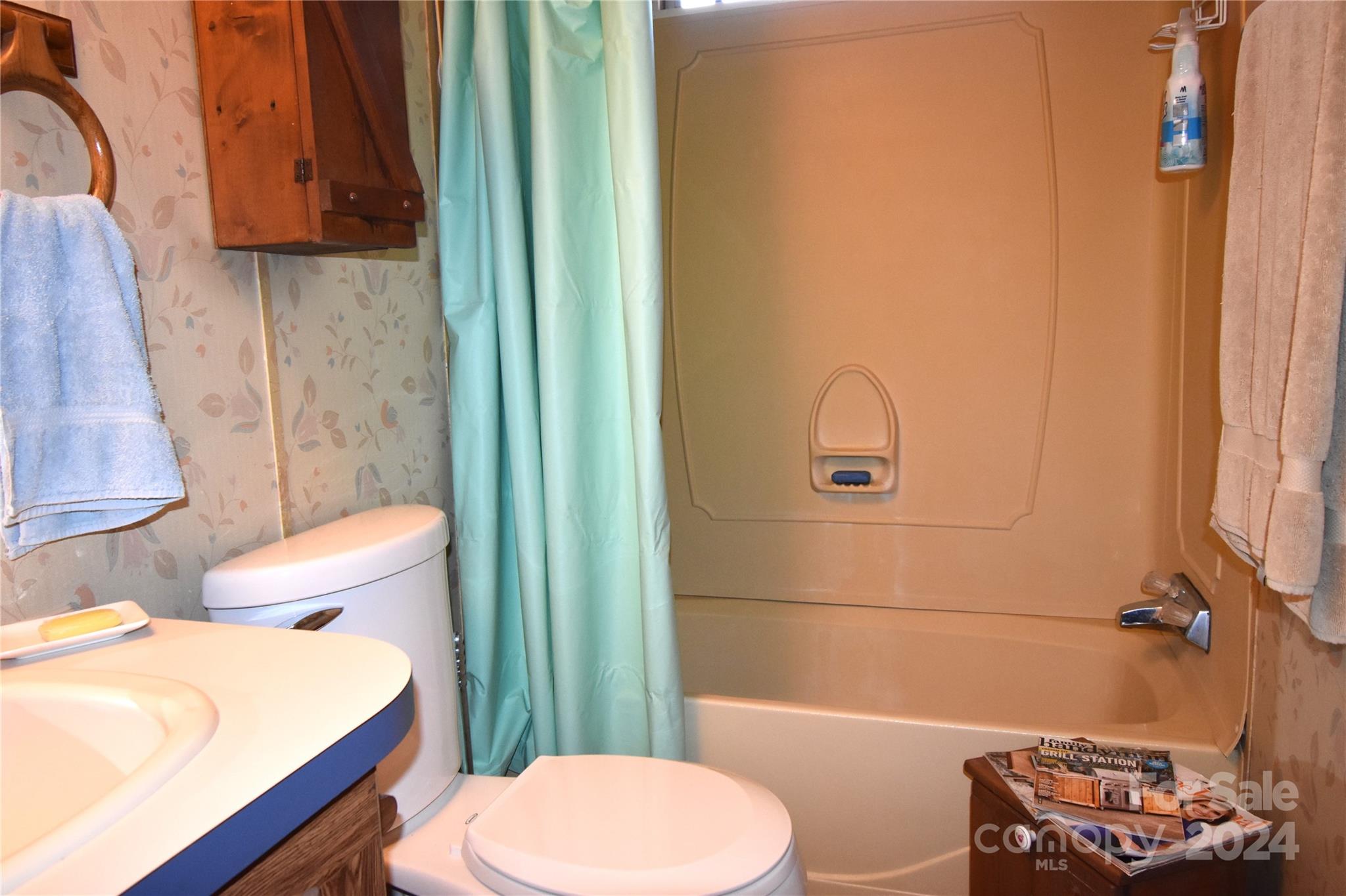 3387 Roaring Fork Road Creston, NC 28615 - Photo 13 of 19